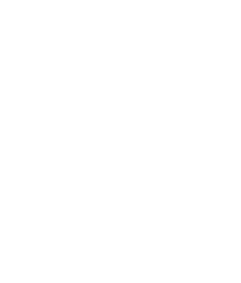 Ladisic Fine Homes, Inc.