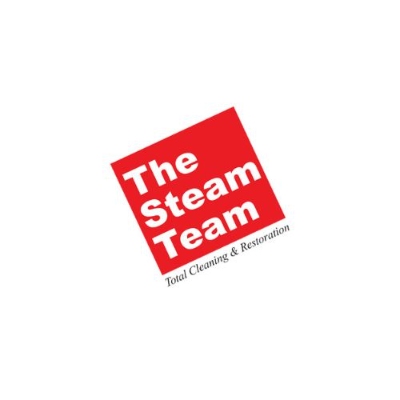 Construction Professional The Steam Team in Austin, Texas 