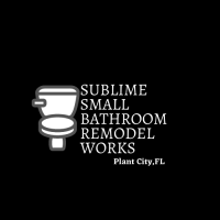 Construction Professional Sublime Small Bathroom Remodel works in Plant City, FL 