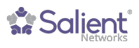 Salient Networks, Inc.