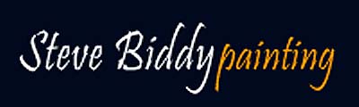 Construction Professional Steve Biddy Painting CO in Cary NC