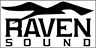 Construction Professional Raven Construction in Erie PA
