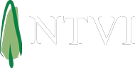 Ntvi Enterprises, LLC