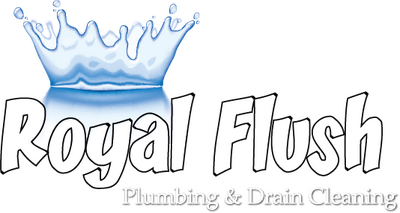 Construction Professional Royal Flush Plumbing in Haltom City TX