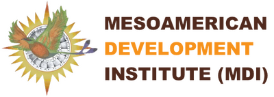 Mesoamerican Development Inst