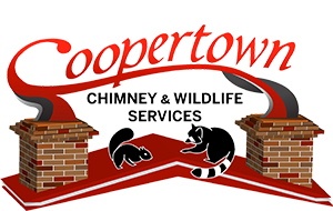 Coopertown Home Services